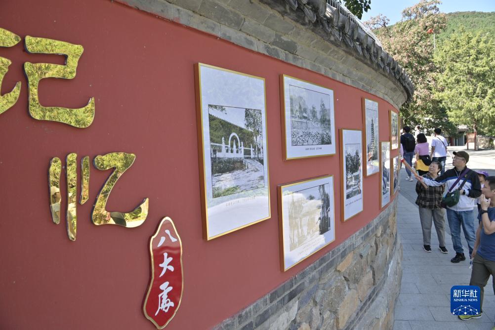 易球俱乐部